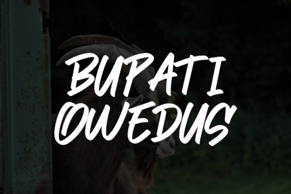 Bupati Owedus: The Script Font That Elevates Small Business Branding