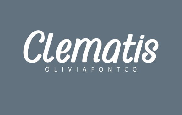 Clematis: The Handwritten Serif That Elevates Digital Branding