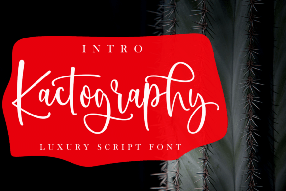 Kactography: A Designer’s Review of This Script Amp