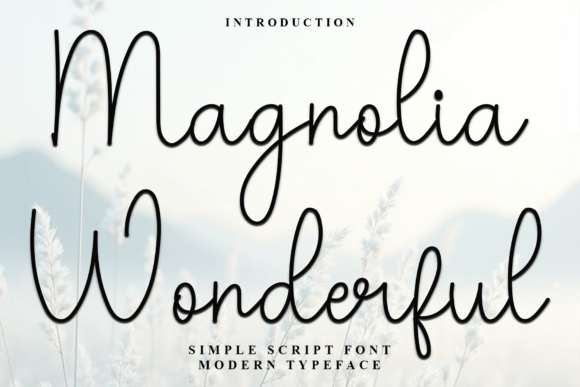 Magnolia Wonderful Typeface Review for Campaign Design