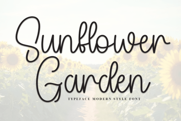 Why Sunflower Garden Is the Perfect Typeface for Your Brand Identity